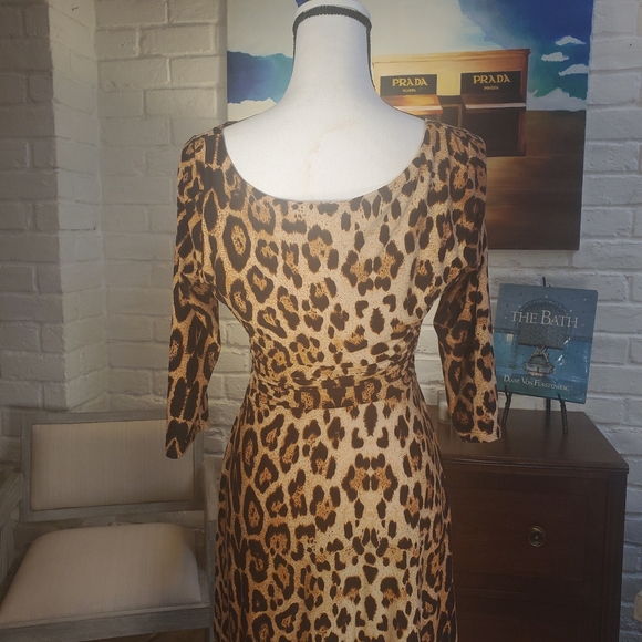 Leopard Print Dress Fall - Picture 4 of 4